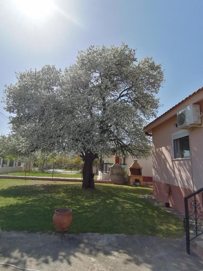 Αξέχαστη Διαμονή - Unforgettable Accommodation Nea Kallikrateia ภายนอก รูปภาพ
