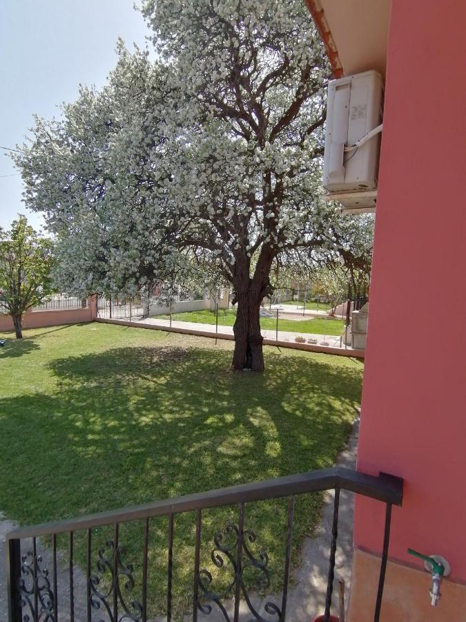 Αξέχαστη Διαμονή - Unforgettable Accommodation Nea Kallikrateia ภายนอก รูปภาพ